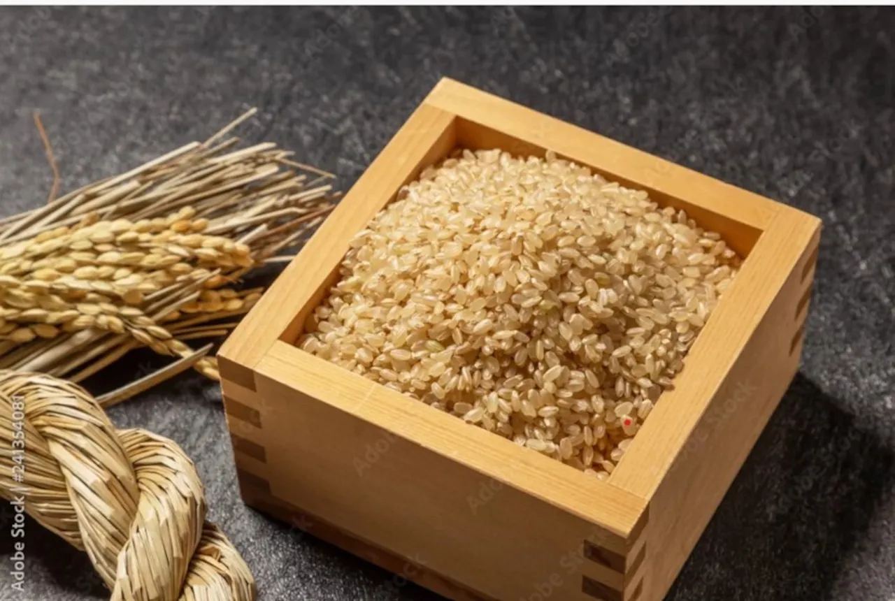 定期便　アースのお米　減農薬 玄米５Kg